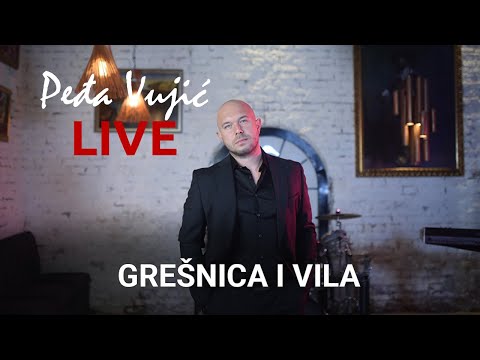 Pedja Vujic - Grešnica i Vila (COVER 2023)