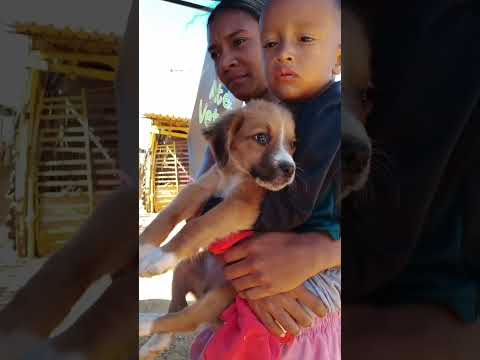 Jornada Integral de Salud Comunidad El Manantial municipio José Félix Ribas La Victoria