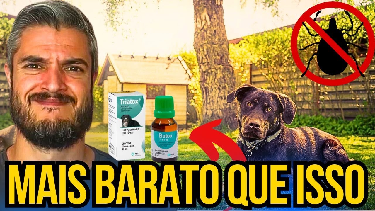MÉTODO COMPROVADO ELIMINAR PULGAS DO CACHORRO E DO QUINTAL USE PRODUTOS NATURAIS E BARATOS