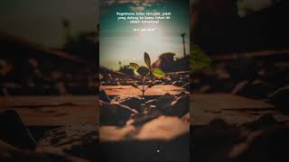 Download lagu Jodoh atau kematian #jodoh #story #quotes mp3 Download lagu Jodoh atau kematian #jodoh #story #quotes mp3