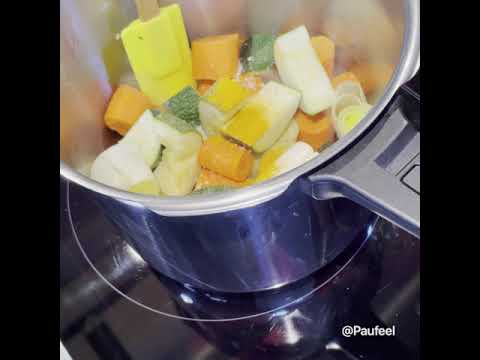 CALDO POLLO Y VERDURAS DESGRASADO