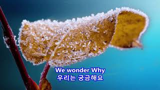Cold November Wind - Willie Nelson: with Lyrics(영어가사/한글번역)  || 차가운  11월의 바람