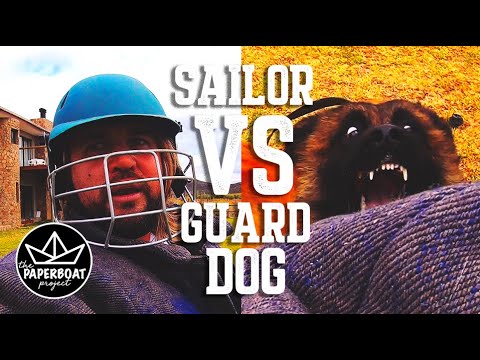 BRUTAL dog ATTACK! Will Pirates stand a chance? The Paper Boat Project  | Stefan Heiberg
