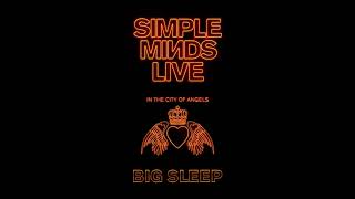 Simple Minds  - Big Sleep (Live in the City of Angels)