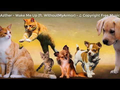 Azther - Wake Me Up ( ft Without My Armor ) -♫[nhacdientu]