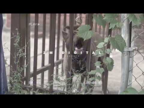 TeeHefnerr "F*ck N*ggas"(Official Video)