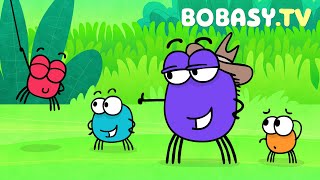 Tyciutki pajączek - Piosenki dla dzieci - Bobasy tv