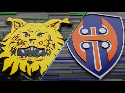 Ottelukooste: Ilves – Tappara | 14.11.2025