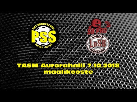 TASM PSS - SB Pro / Losb  maalikooste