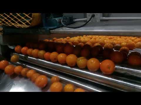 🔴JUAN CARLOS ALVAREZ - INTENDENTE DE MONTE CASEROS▶️LANZAMIENTO EL PLAN NARANJA 2026