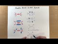 Double Bonds Do Not Rotate