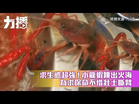 為求保命不惜「壯士斷臂」