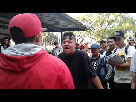 CAROLINA STYLE : AMIR VS FORTY