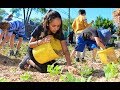 How Can Schools Participate In Low Impact Development