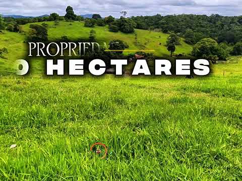 EXCELENTE PROPRIEDADE 370 HECTARES CRISÓLITA-MG R$ 5.9 MILHÕES #luxo #fazenda #pecuarista #gado 