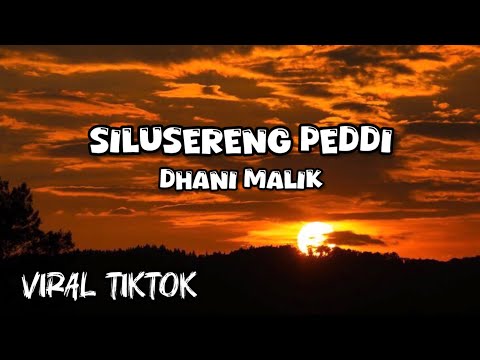 SILUSERENG PEDDI || LAGU BUGIS VIRAL TIKTOK 2024 COV. DHANI MALIK