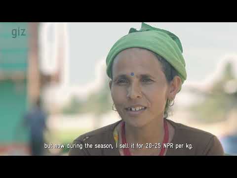 Mulheres liderando soluções climáticas - Um vídeo da Cooperação Alemã para o Desenvolvimento (GIZ Nepal)