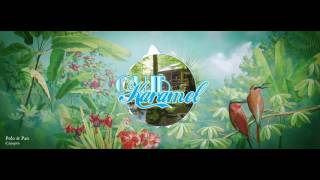 Canopée - Polo &amp; Pan