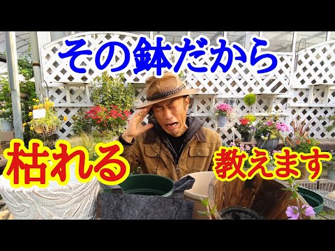 鉢の土の量はどれくらいですか？容器のサイズと形状に応じてその体積を計算するにはどうすればよいですか?  庭園