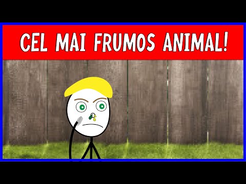 CEL MAI FRUMOS ANIMAL - D'ALE LU' GIGI