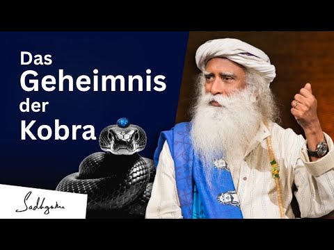 Das Geheimnis der Nagamani – Sadhguru über die mystische Kraft der Kobra