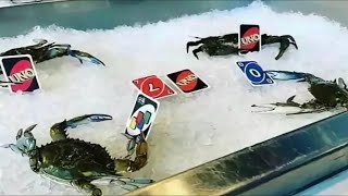 Shitpost compilation 50