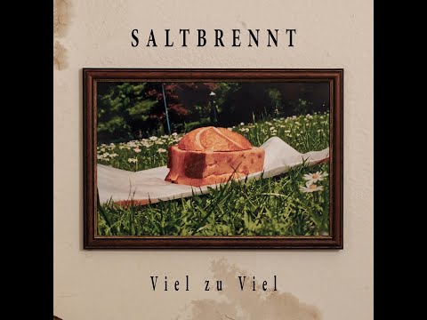 Saltbrennt - Viel zu viel (official music video)