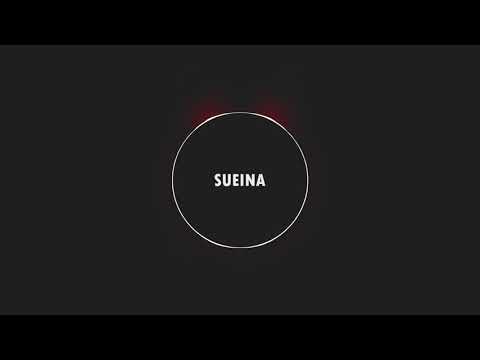 FSG x Stonkidzé - Sueina (Prod. by 335d) [BASS BOOSTED]