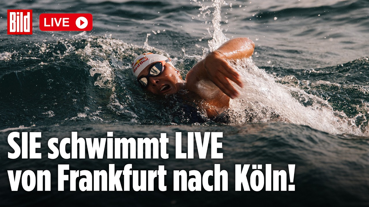 EXTREME CHALLENGE: Extremsportlerin Nathalie Pohl schwimmt von Frankfurt nach Köln! | BILD LIVE