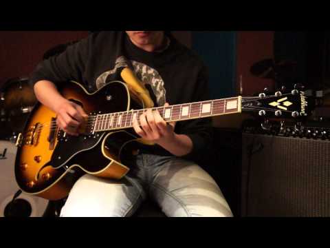 Washburn J3TSK Hollowbody Tobacco Electric Guitar w/ Free Hardcase. Gorgeous Jazz Guitar, BUY it NOW image 5