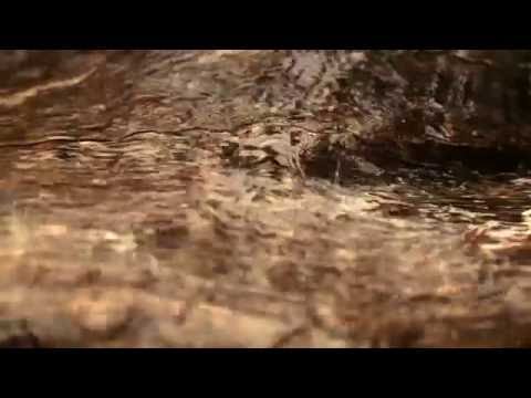Videoclip de Pelo Tempo Que Durar — Marisa Monte