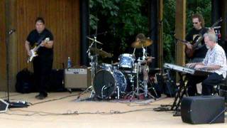 MyJoogTV: The Tommy Lepson Band at The Vienna Town Green (2)