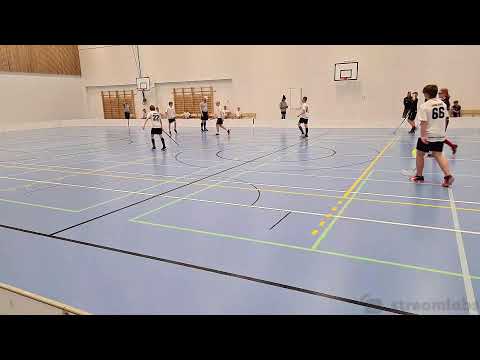 P15 Tampereen Icehearts - SBT PaPo