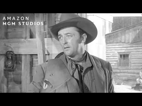 Tollinger Comes To Town