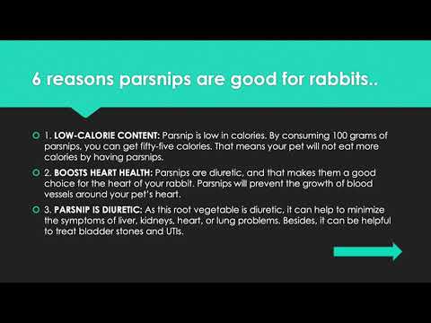 YouTube video about: Can rabbits eat parsnip leaves?