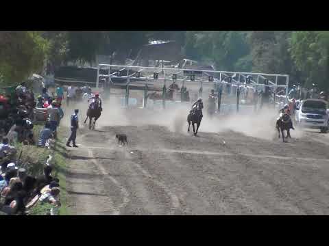 FARAONA  Club Hipico "Riveras Neuquinas" -   Vista Alegre -  Neuquen -  22-01-2023