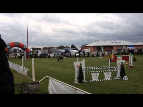 Jack Sparrow Olsza 2014 (115 cm)