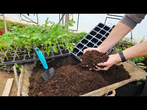 Nikad ne kupujemo zemlju za sijanje - sami je pravimo - za bolje nicanje i jače biljke