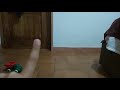Tubby Bye Bye Version