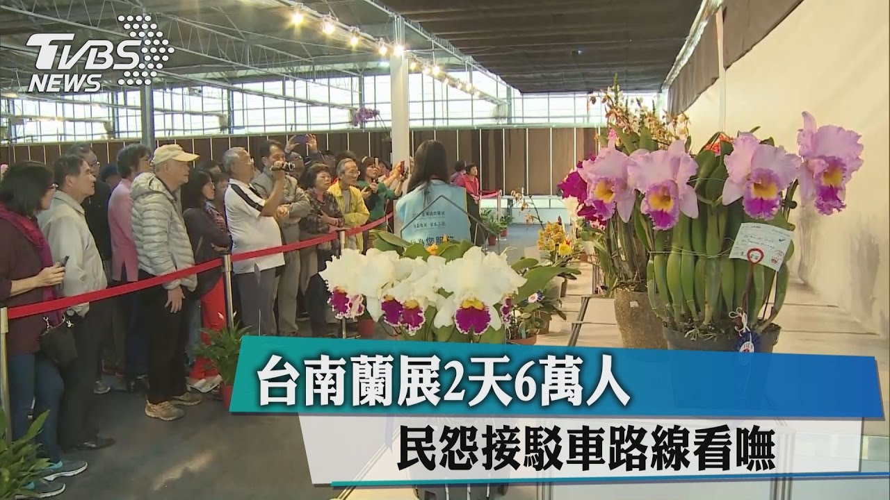 台南蘭展2天6萬人 民怨接駁車路線看嘸