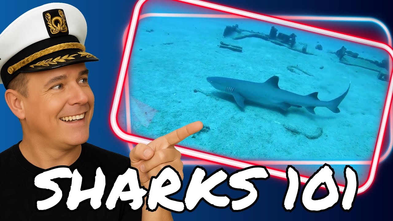 Scuba divers exploring the Sea Tiger shipwreck deck in Honolulu