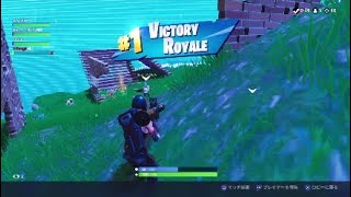 【Fortnite】下手になったけどビクロイできるwww