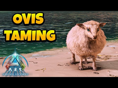How to Tame Ovis in ARK Survival Ascended