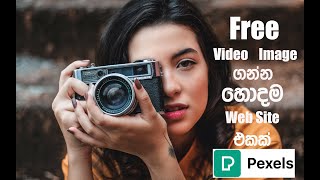 Make You Tube Video for Free using Pexels Top One Web Sites Free Stocks videos & Images | Sinhala