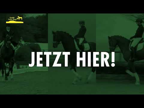 Gestüt Letter Berg Hengst Vater Instertanz V mir Söhnen Isterberg V und Isterberg II.