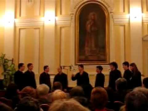 Klapa Panon - Moj Galebe