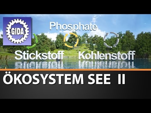 Trailer - Ökosystem See II - Biologie - Schulfilm