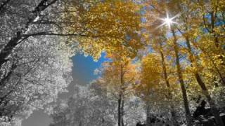 Divine Nature  (HQ  Widescreen)