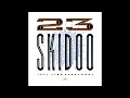 23 Skidoo - Last Dub