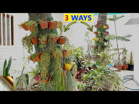 3 EASY DIY VERTICAL GARDEN IDEAS FOR HOME GARDEN